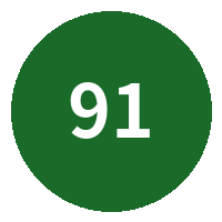 91